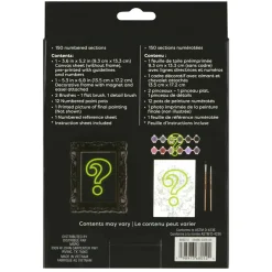 Mystery Dark Flower Paint-by-Number Framed Mini Kit by Artist's Loft®