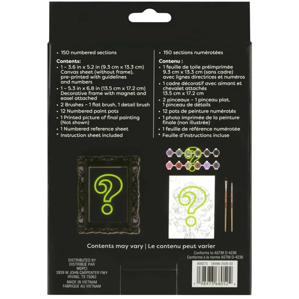 Mystery Dark Flower Paint-by-Number Framed Mini Kit by Artist's Loft®