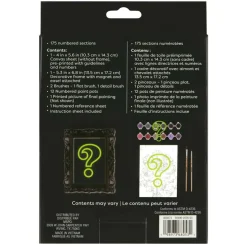 Mystery Dark Flower Paint-by-Number Framed Mini Kit by Artist's Loft®