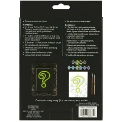 Mystery Dark Flower Paint-by-Number Framed Mini Kit by Artist's Loft®