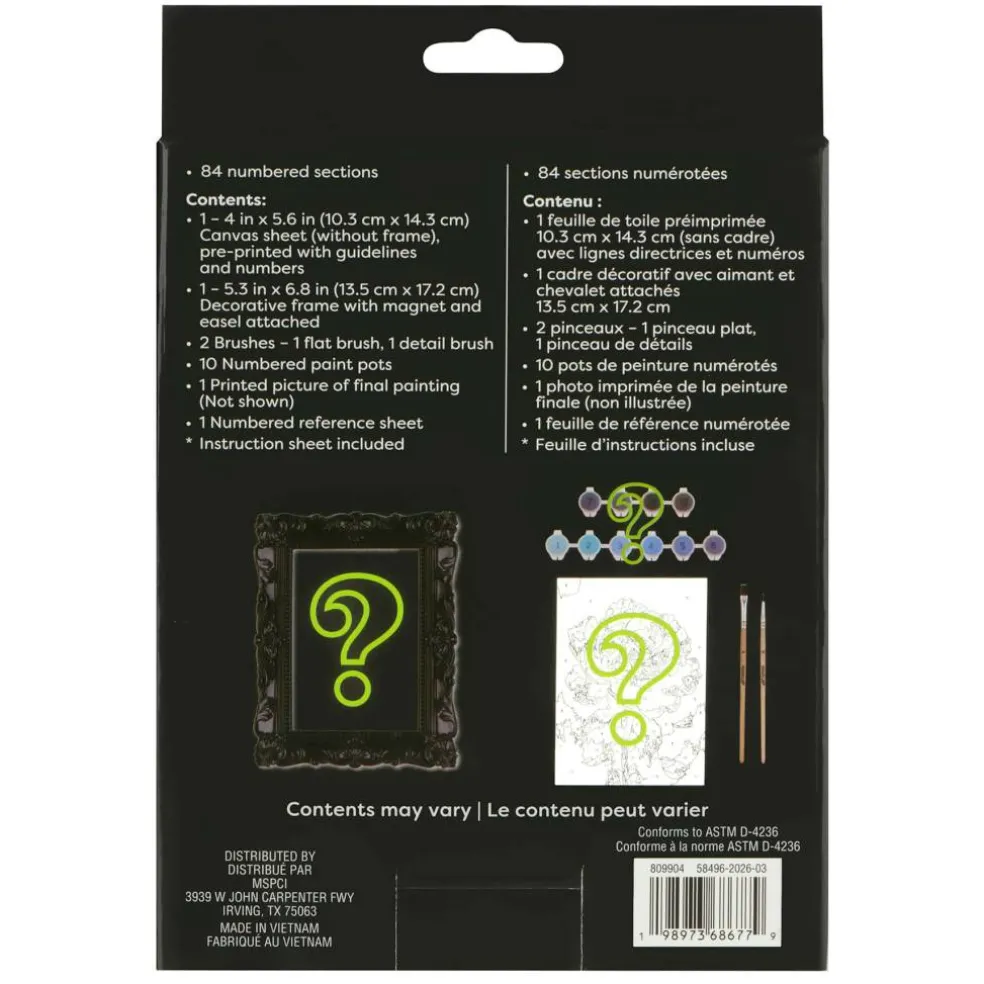 Mystery Dark Flower Paint-by-Number Framed Mini Kit by Artist's Loft®