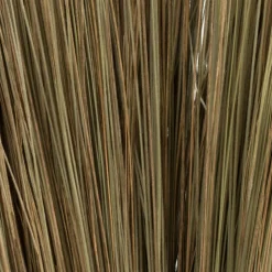 35-40" Natural Bright Grass 8oz Bu 2Pk