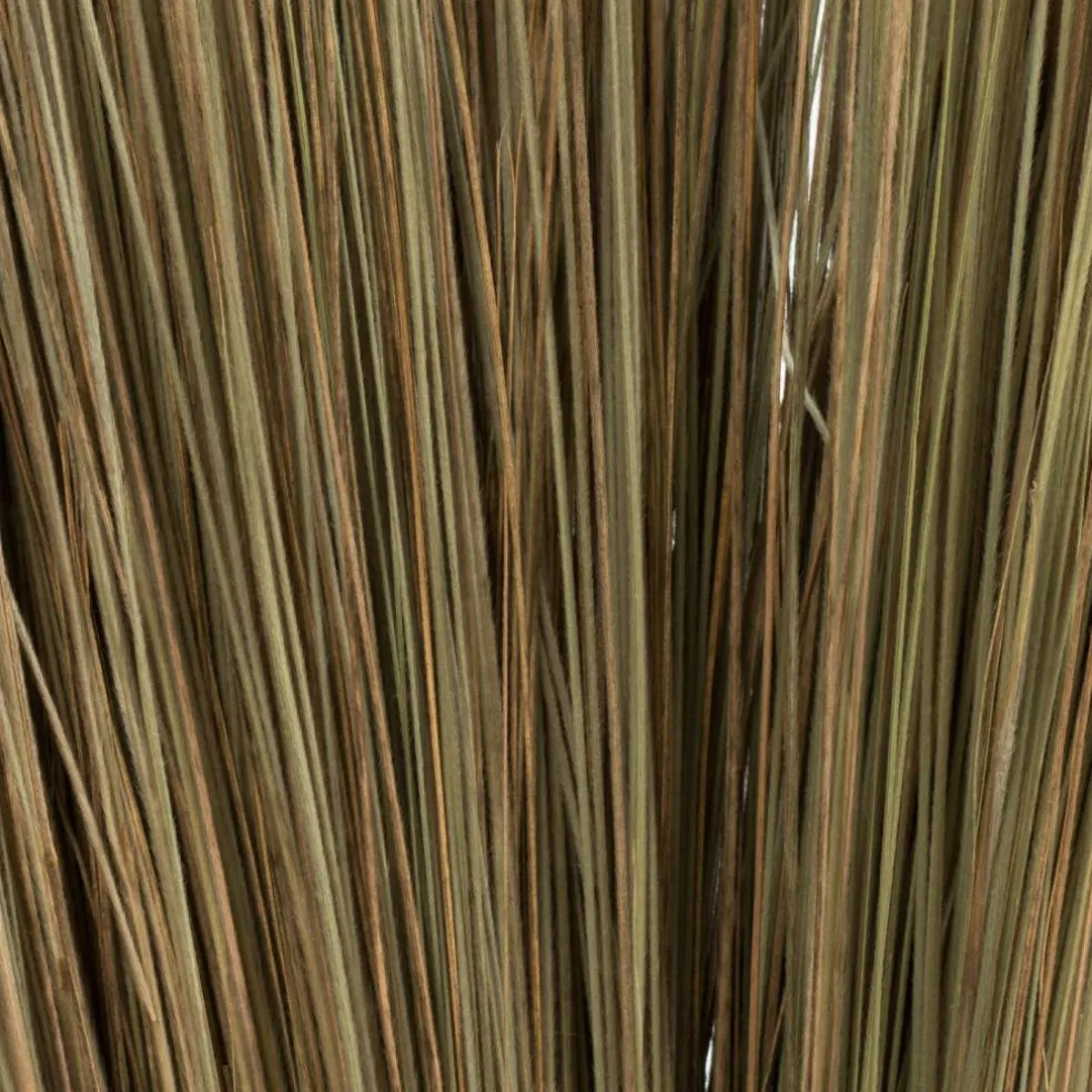 35-40" Natural Bright Grass 8oz Bu 2Pk