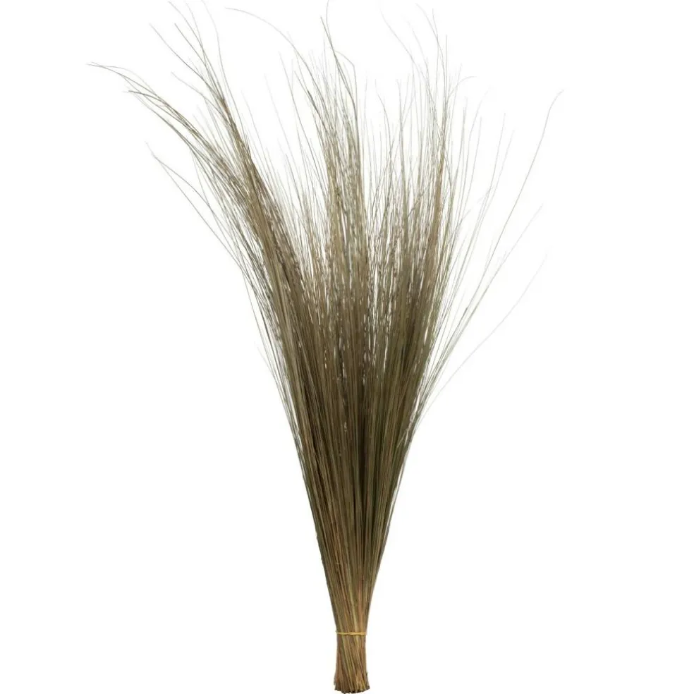 35-40" Natural Bright Grass 8oz Bu 2Pk