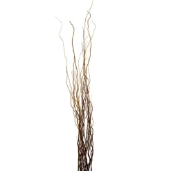 Natural Curly Willow by Ashland®