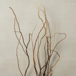 Natural Curly Willow by Ashland®