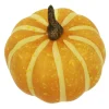Natural Decorative Gourds, 12ct. by Ashland®