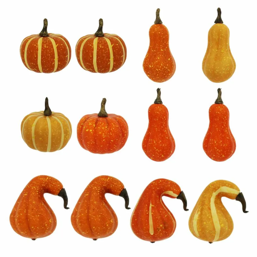 Natural Decorative Gourds, 12ct. by Ashland®
