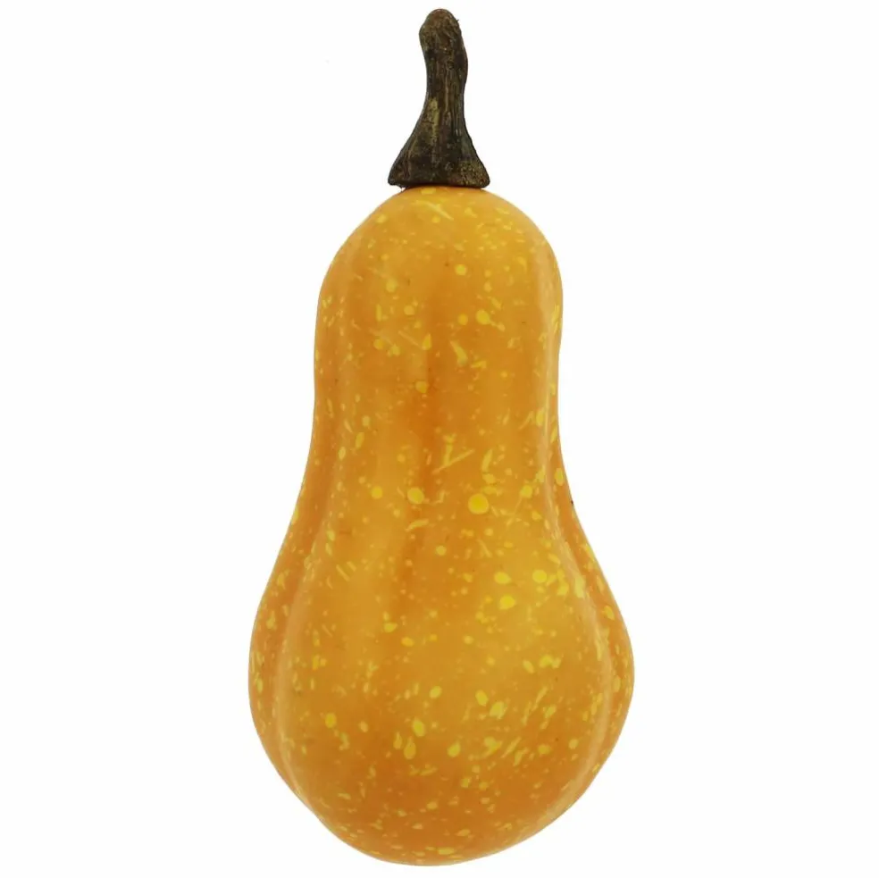 Natural Decorative Gourds, 12ct. by Ashland®