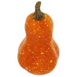 Natural Decorative Gourds, 12ct. by Ashland®