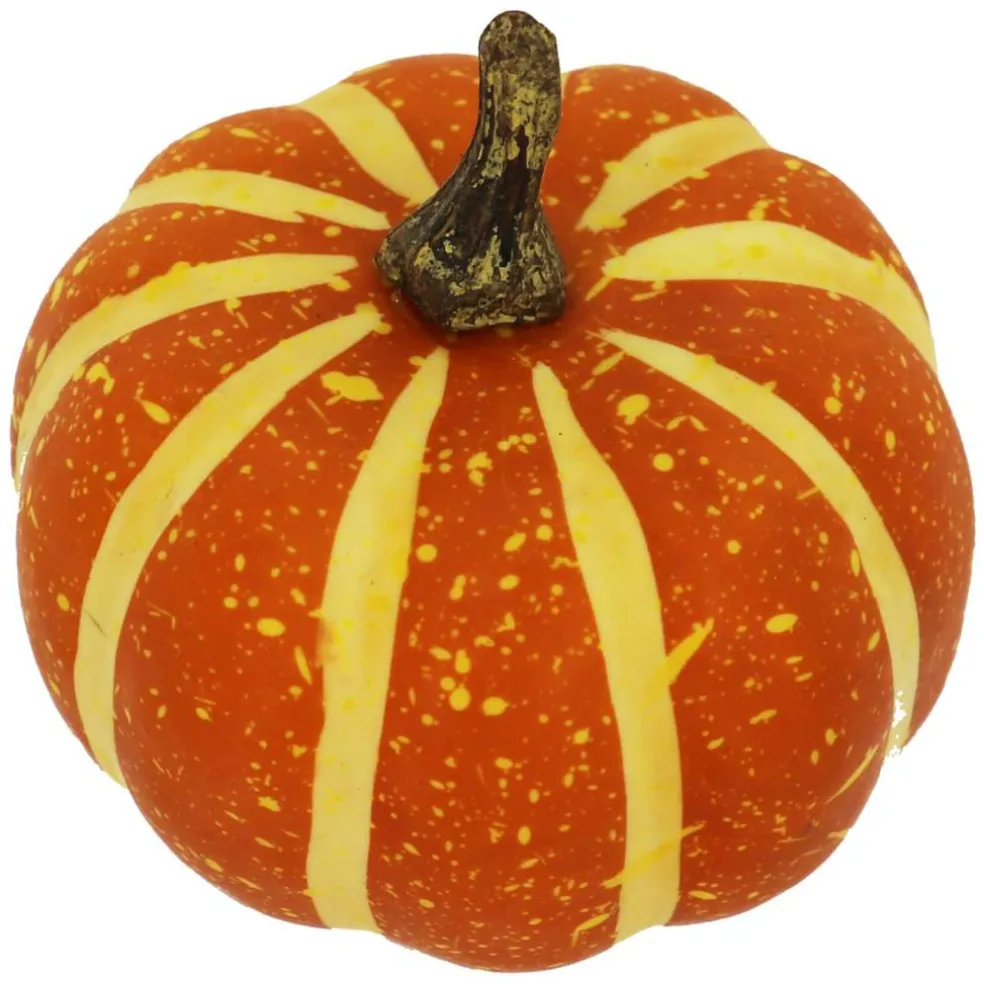 Natural Decorative Gourds, 12ct. by Ashland®