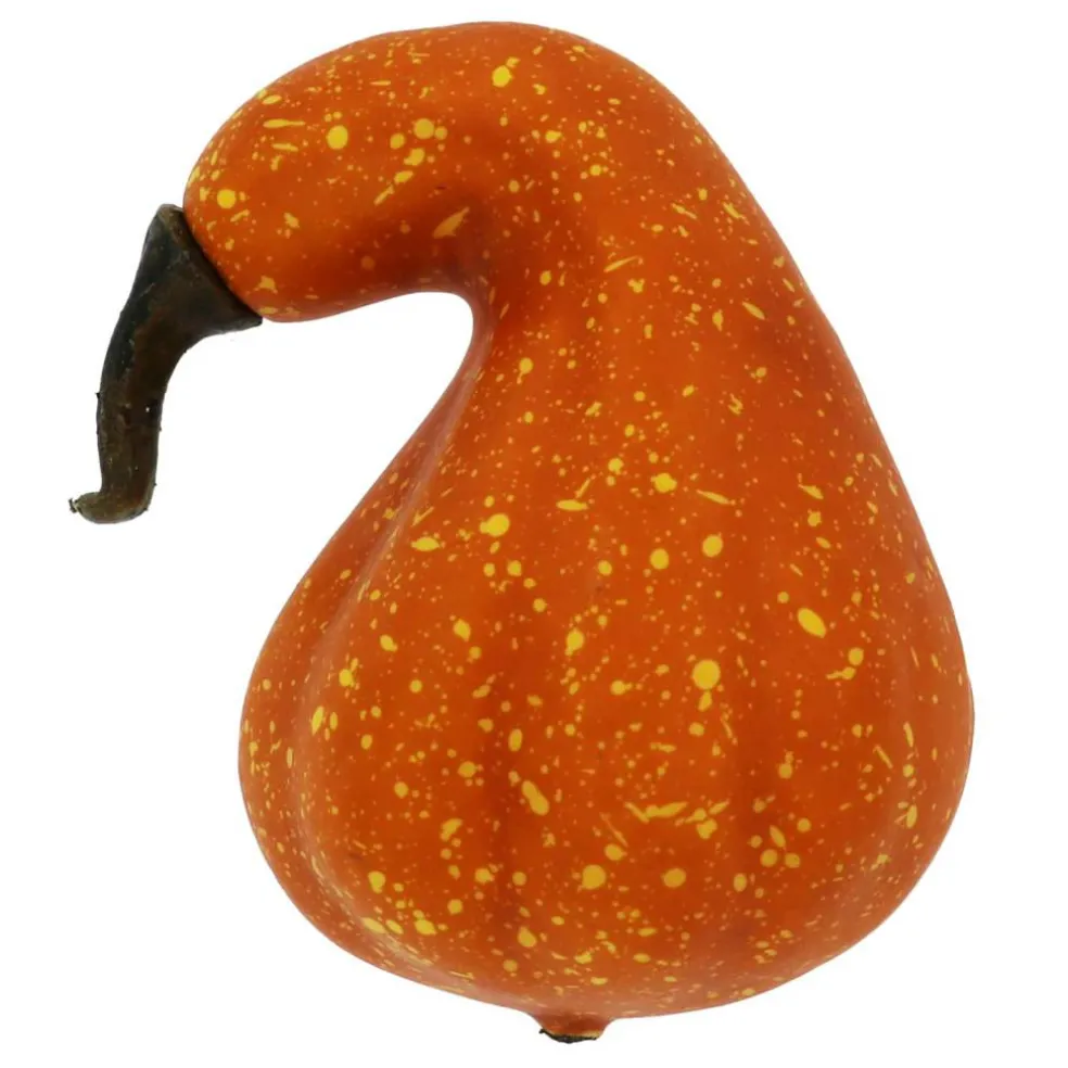 Natural Decorative Gourds, 12ct. by Ashland®