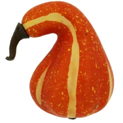 Natural Decorative Gourds, 12ct. by Ashland®