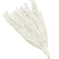 35" Natural Dried Palm Leaf Bundle with Feather-Inspired Stems