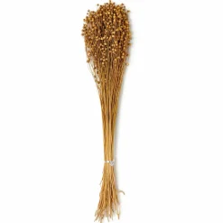 25" Natural Lino Flax Décor Grasses, 6ct.