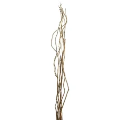 Natural Tall Curly Willow by Ashland®