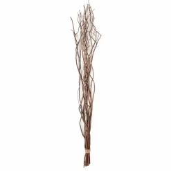 Natural Tall Curly Willow by Ashland®
