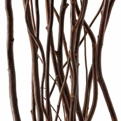 Natural Tall Curly Willow by Ashland®