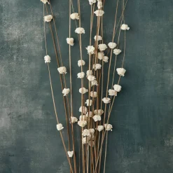 Natural Ting Bunches with Sola Flowers