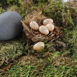 Nature Center Speckled Tan Eggs by Ashland®