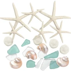 Nautical Shell Mix 25 Piece Mix of White Finger Starfish, Sea Biscuit, Aqua Blue and Clear Sea Glass, and Pearlized Turbo Shells for Crafts
