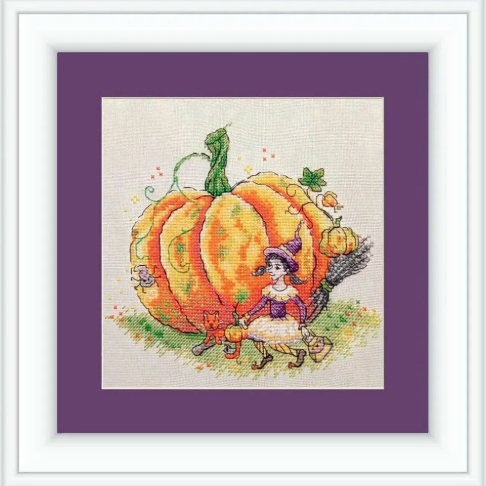 Neocraft Pumpkin Cross Stitch Kit