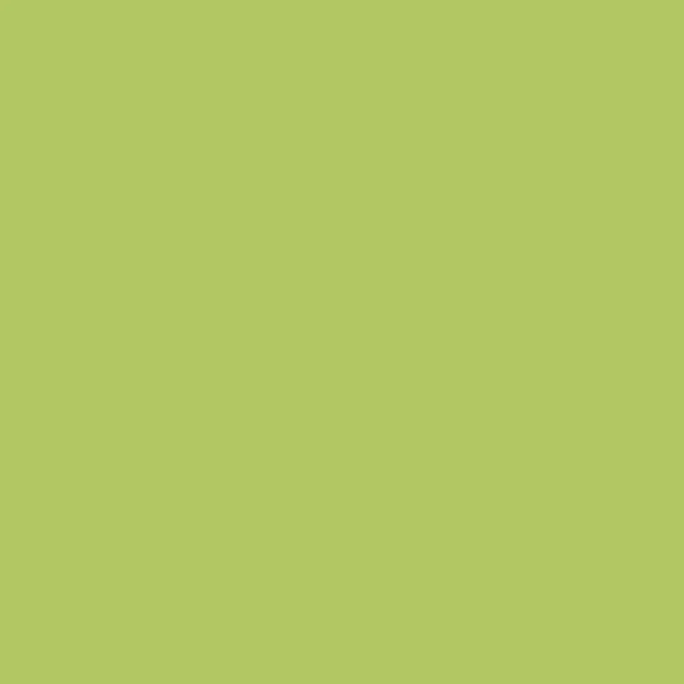 Ohuhu® Honolulu B Brush & Fine Dual Tip Marker
