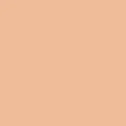 Ohuhu® Honolulu B Brush & Fine Dual Tip Marker