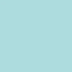 Ohuhu® Honolulu B Brush & Fine Dual Tip Marker
