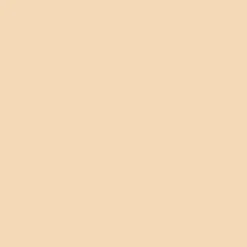 Ohuhu® Honolulu Brush & Chisel Dual Tip Marker