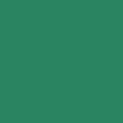 Ohuhu® Honolulu Brush & Chisel Dual Tip Marker