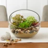 6.5" Open Face Glass Vase by Ashland®