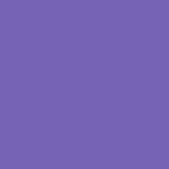 ORACAL® 631 Removable Vinyl