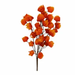 19" Orange Chinese Lantern Bush by Ashland®