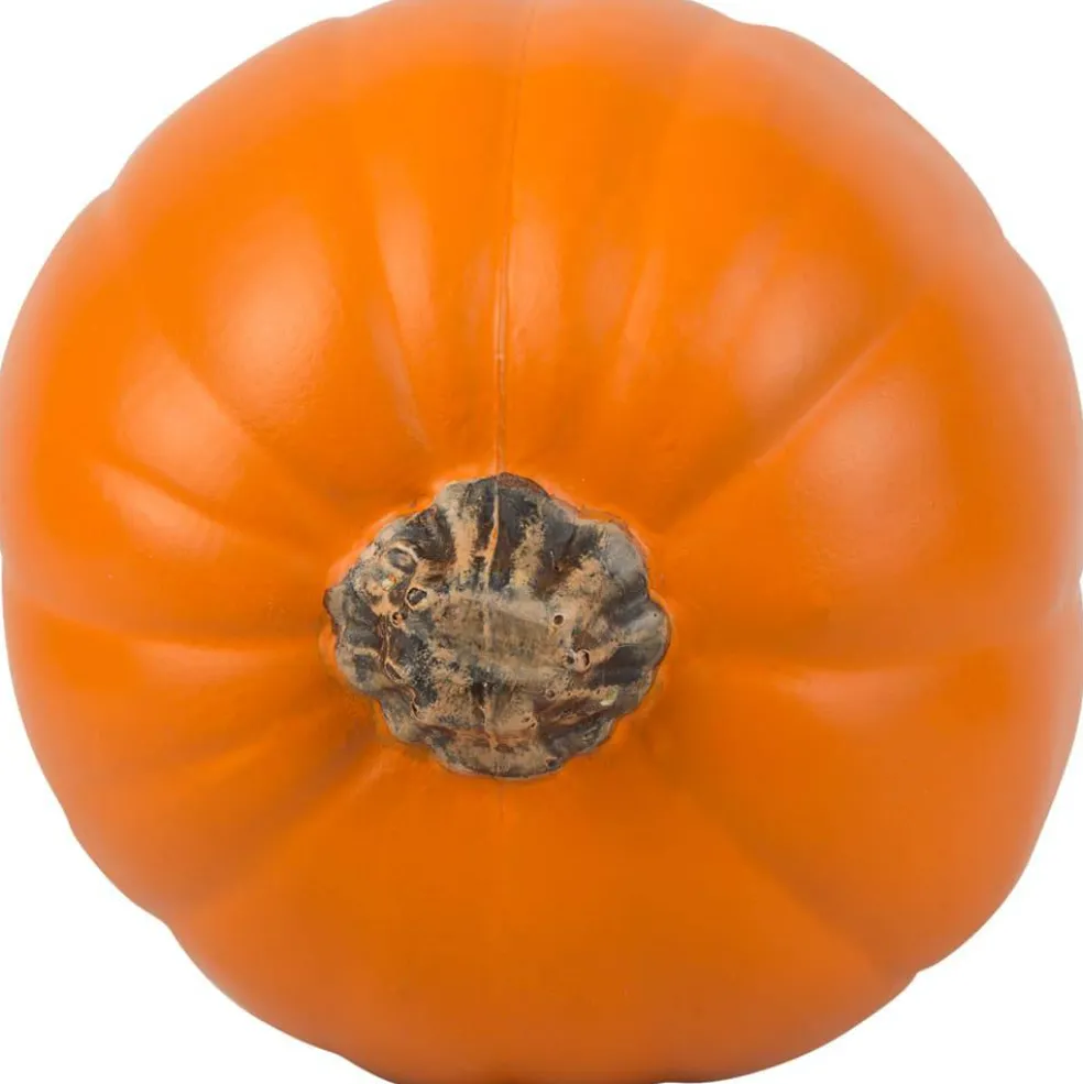 Orange Craft Pumpkin by Ashland®