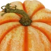 6.5" Orange Cream Decorative Pumpkin by Ashland®