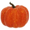 Orange Decorative Pumpkin Mix by Ashland®