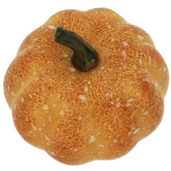 Orange Decorative Pumpkin Mix by Ashland®