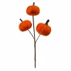 10" Orange Pumpkin Pick by Ashland®