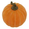 10.5" Orange with White Wash Decorative Pumpkin by Ashland®