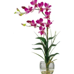 22" Orchid Arrangement with Glass Vase
