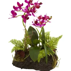 10" Orchid Island Arrangement, 2ct.