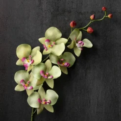 Orchid Spray by Ashland®