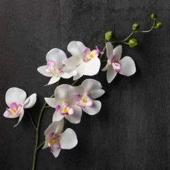 Orchid Spray by Ashland®