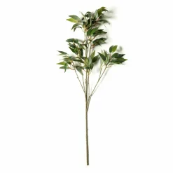 Osmanthus Stem by Ashland®