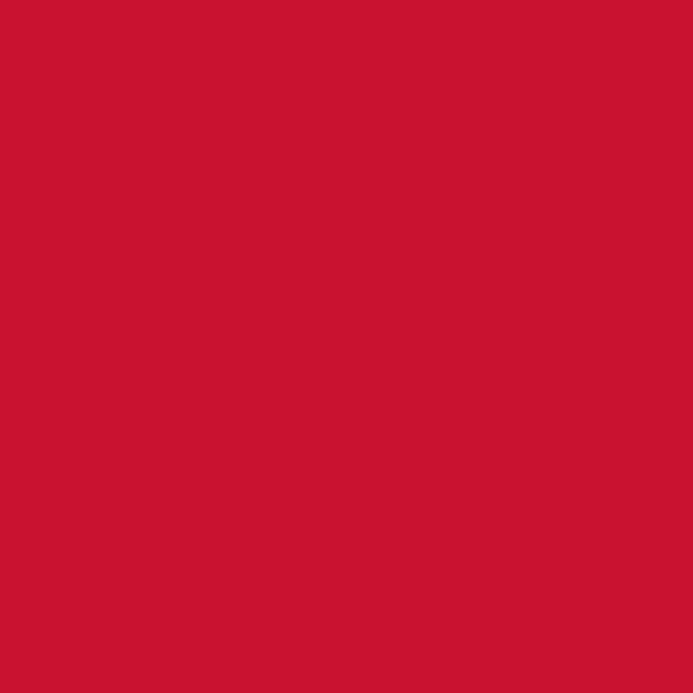 2oz. Acrylic Paint by Craft Smart®