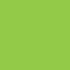 2oz. Acrylic Paint by Craft Smart®