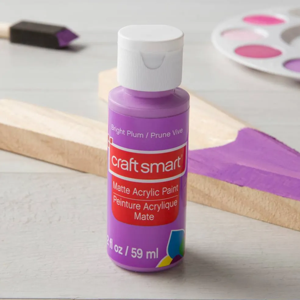 2oz. Acrylic Paint by Craft Smart®