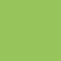 2oz. Acrylic Paint by Craft Smart®