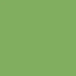 2oz. Acrylic Paint by Craft Smart®